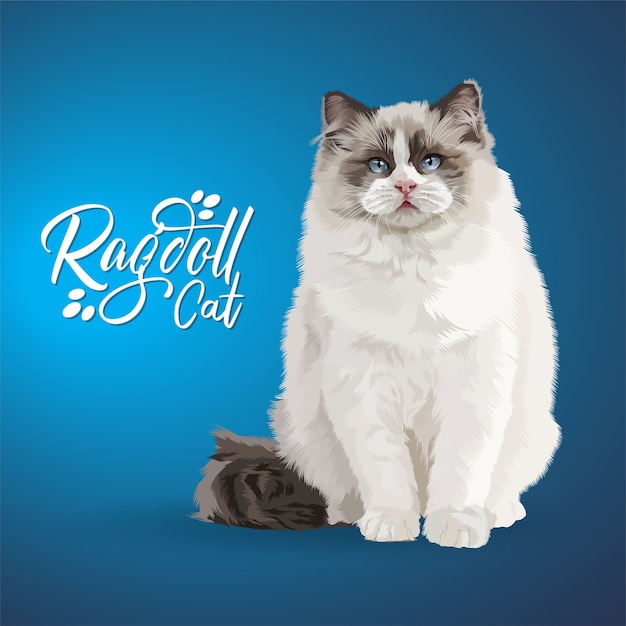 Premium Vector | Illustration of ragdoll cat.