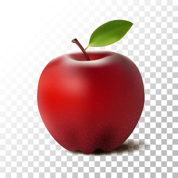 Download Free Illustration Red Apple Fruit On Transparent Premium Vector Use our free logo maker to create a logo and build your brand. Put your logo on business cards, promotional products, or your website for brand visibility.