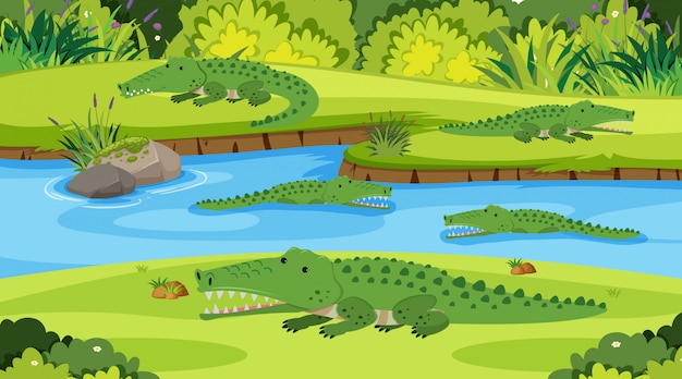 Premium Vector Illustration Scene With Crocodiles In The River