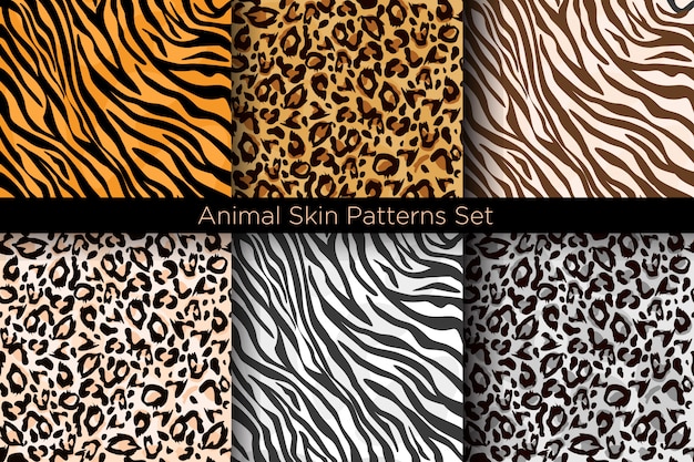 Illustration set of animal seamless prints. tiger and leopard patterns collection in different color
