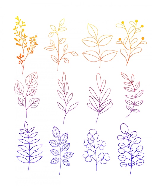 花と白い背景の上の色線eの葉と小枝の簡単な落書きのイラストセット プレミアムベクター