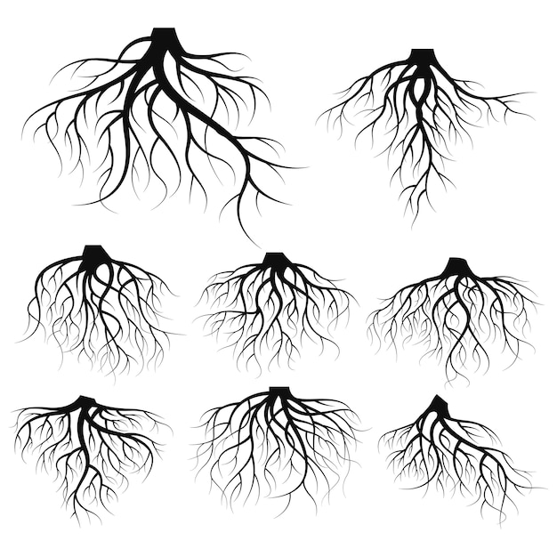 Premium Vector Illustration Set Of Tree Roots