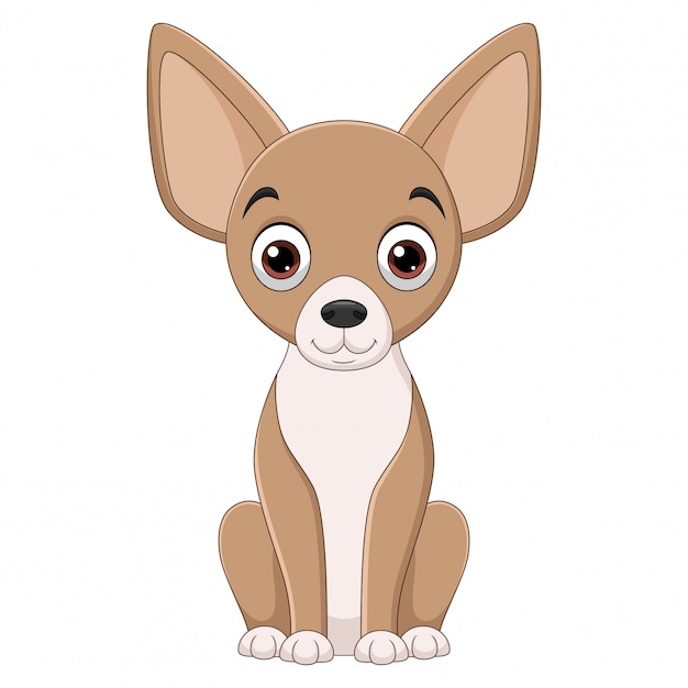 Illustration of sitting chihuahua dog cartoon on white ...