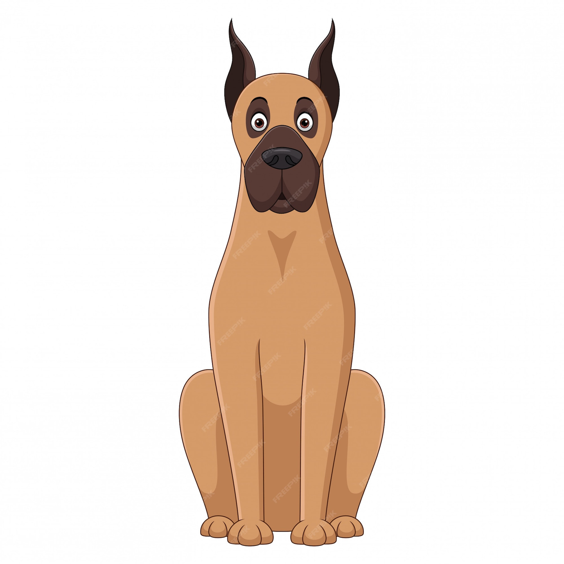 Premium Vector | Illustration of sitting vizsla dog cartoon on white ...