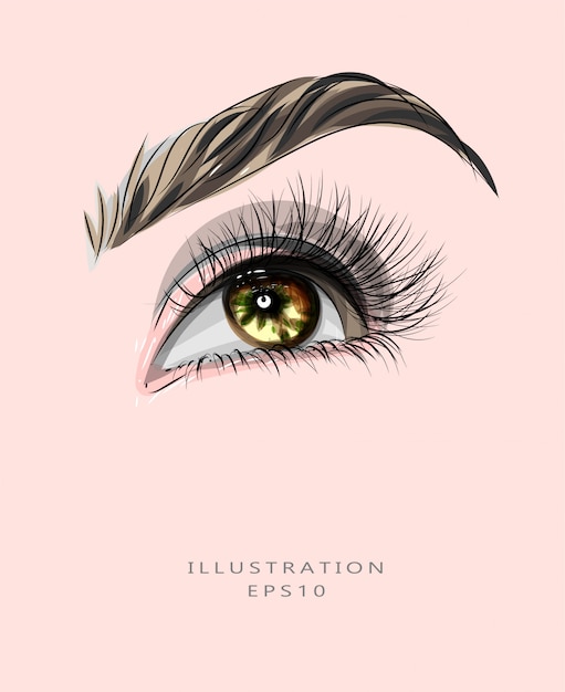 Illustration on the theme of makeup and beauty. eye and eyebrow makeup. Premium Vector