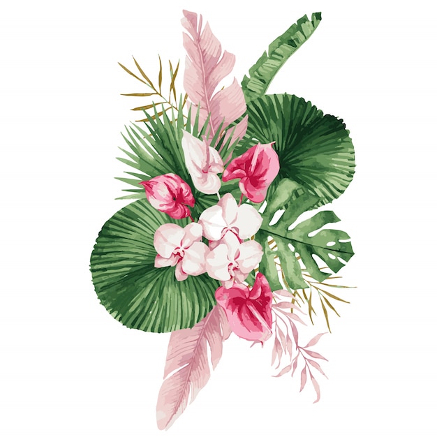 イラスト 熱帯の葉と花 白い蘭 ピンクのバラと白いアンスリウム モンステラとヤシの葉の水彩画の花束 プレミアムベクター