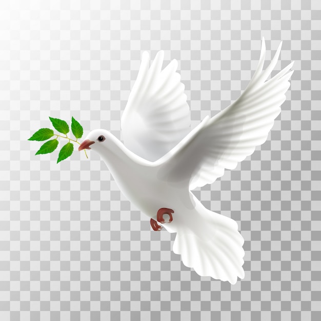透明の葉で飛んでいるイラスト白鳩 プレミアムベクター