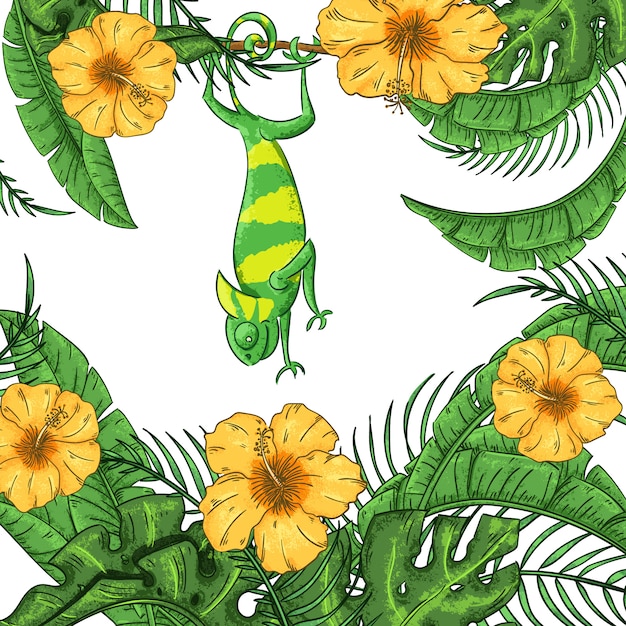 カメレオン ハイビスカスと植物のイラスト エキゾチックなジャングル プレミアムベクター