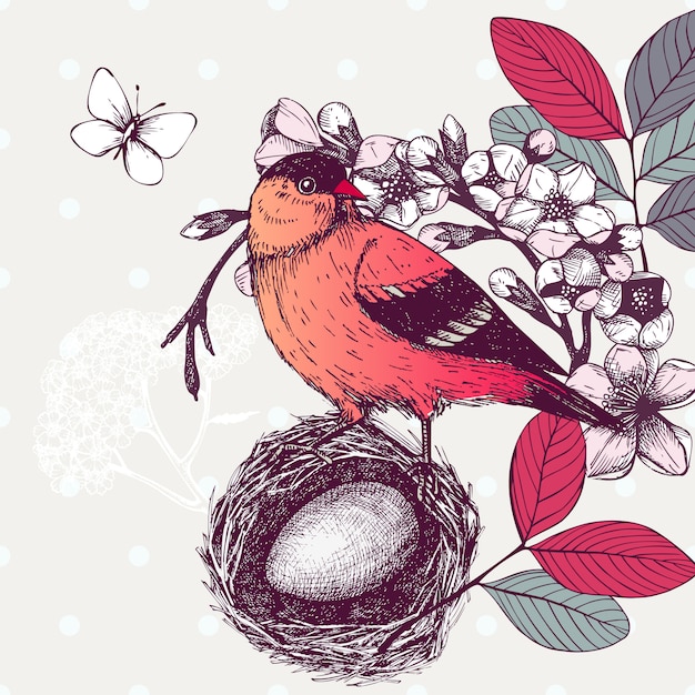 手でイラストは咲く木の小枝に鳥を描きます 赤い鳥のヴィンテージのスケッチ プレミアムベクター