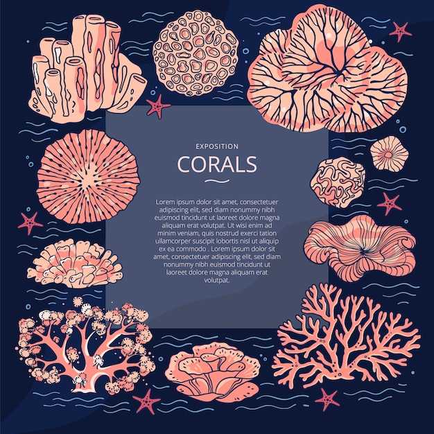 Premium Vector Illustrations of corals. template with corals around