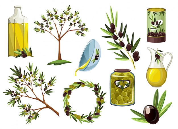 Premium Vector Illustrations For Olive Oil Labels Packaging Design Natural Products Restaurant Olive Decorative Icons Hand Drawn Illustration Templates For Olive Oil Packaging Eco Design