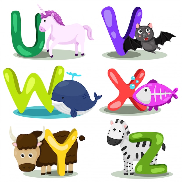 Premium Vector Illustrator Alphabet Animal Letter U V W X Y Z