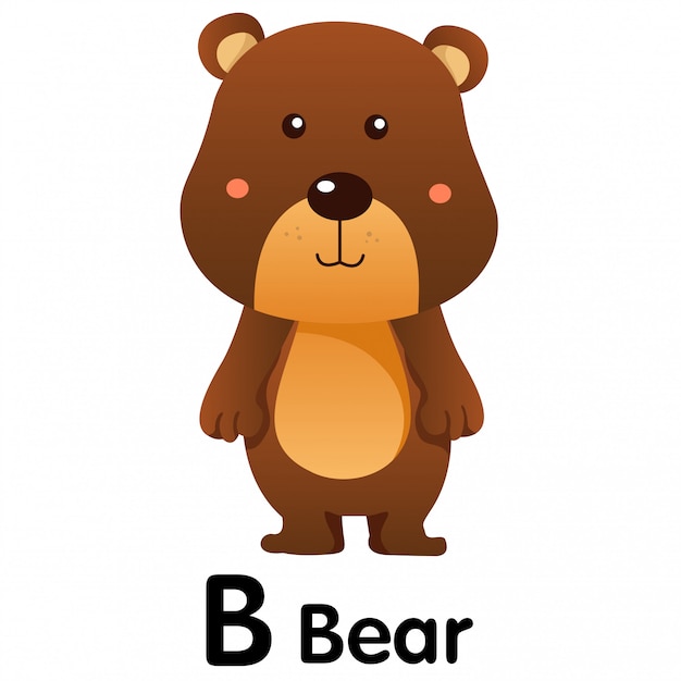 Premium Vector Illustrator Of B Bear Animal