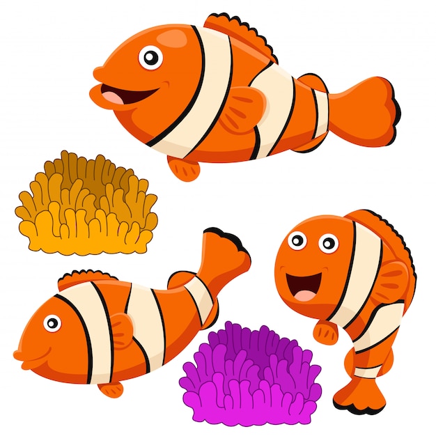 Download Illustrator of clown fish | Premium Vector