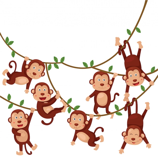 Premium Vector | Illustrator of monkeys funny cartoon