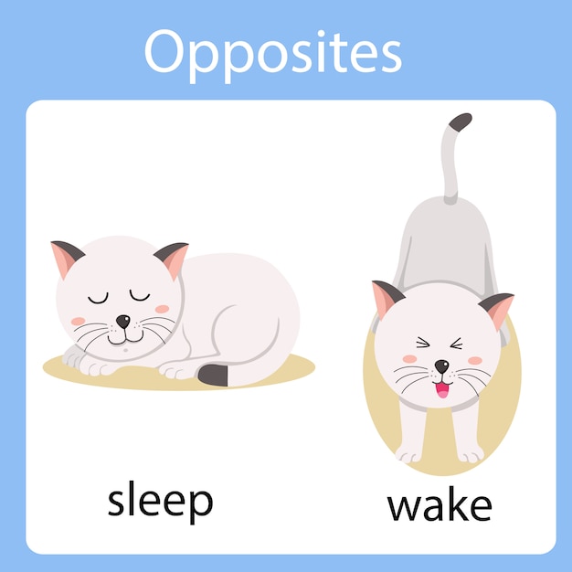 Illustrator of opposites sleep and wake | Premium Vector