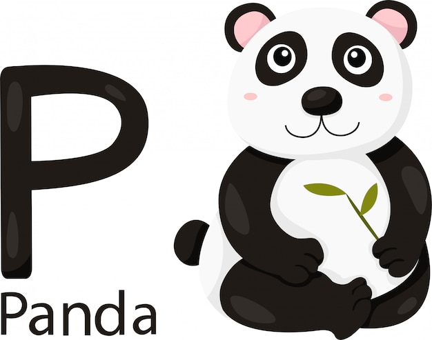 Premium Vector Illustrator Of P With Panda