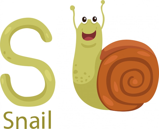 Premium Vector | Illustrator of s with snail