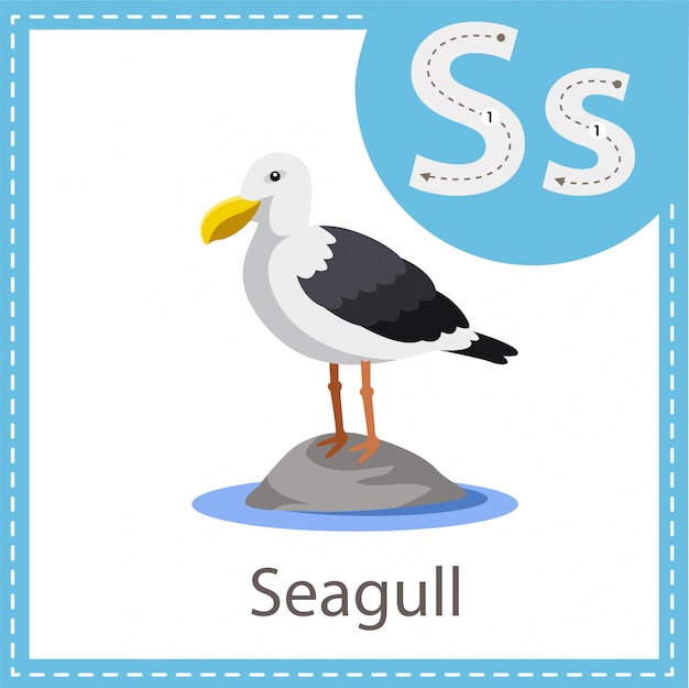 Download Free Illustrator Of Seagull Bird Premium Vector Use our free logo maker to create a logo and build your brand. Put your logo on business cards, promotional products, or your website for brand visibility.