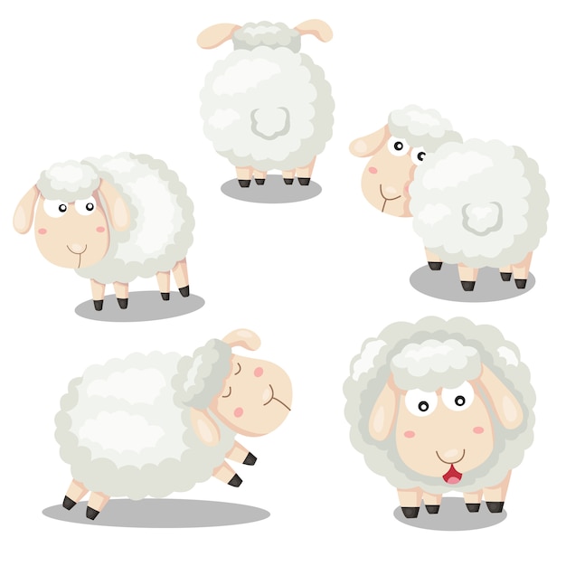 Premium Vector | Illustrator of sheep funny cartoon