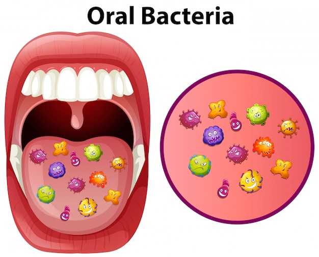 An image showing oral bacteria | Free Vector