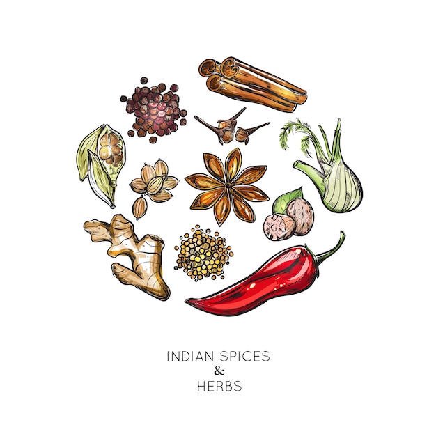 Indian spices herbs composition | Free Vector