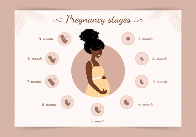 Premium Vector Infographic Of Pregnancy Stages Silhouette Of African Pregnant Woman 