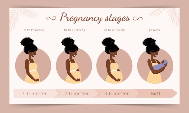 Infographic of pregnancy stages. silhouette of african pregnant woman . vector illustration in flat style. Premium Vector