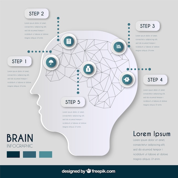 Premium Vector | Infographic template of geometric brain with five steps