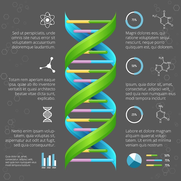 Free Vector | Infographic template with dna structure for medical and ...