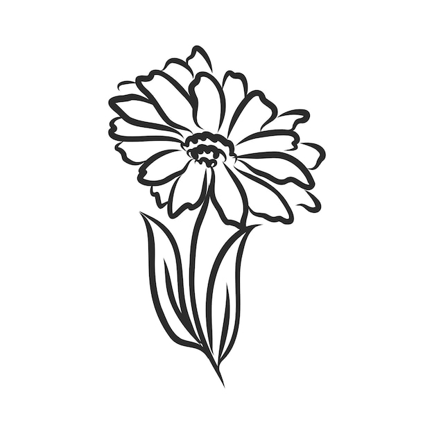 Premium Vector | Ink pencil the leaves and flowers flower decor vector ...