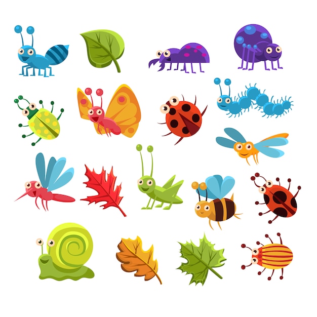 Premium Vector | Insect and leaves collection