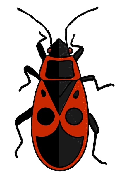 Premium Vector | Insect - red soldier bug in cartoon style