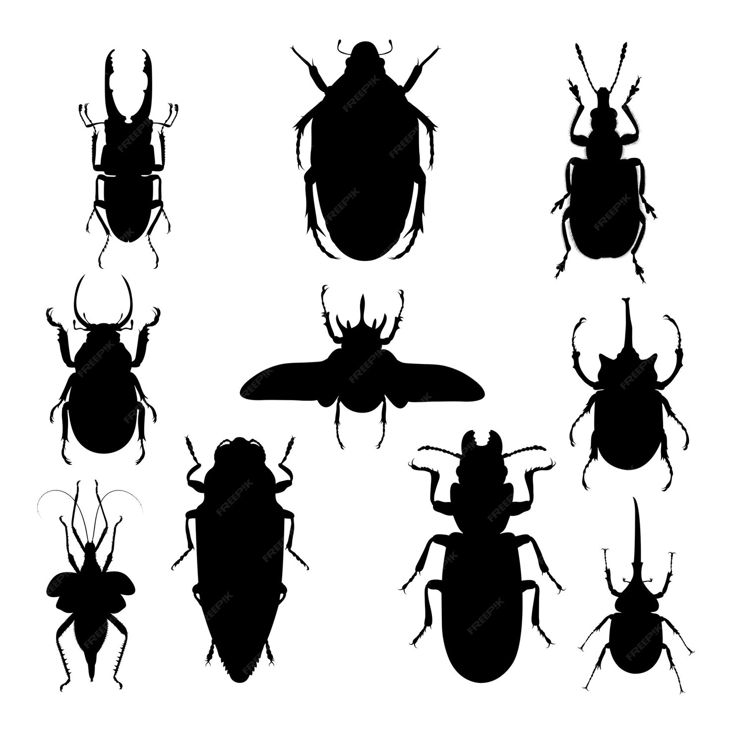 Premium Vector | Insect silhouettes