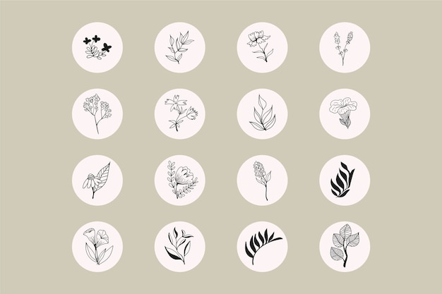 Premium Vector Instagram Hand Drawn Floral Stories Highlights