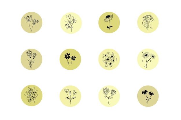 Instagramの手描き花物語のハイライト プレミアムベクター
