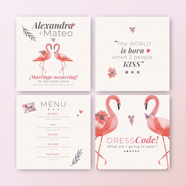 Instagram Posts Collection For Wedding With Flamingos Free Vector