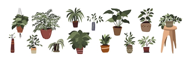 Premium Vector | Interior Potted Plants Decor Elements Set Sticker ...