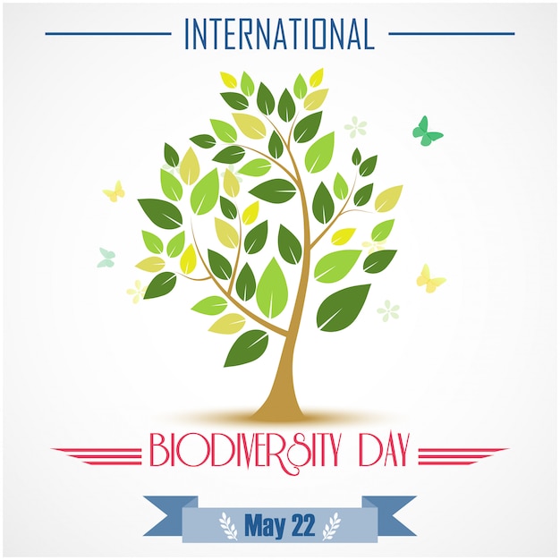 Premium Vector | International Biodiversity Day Poster