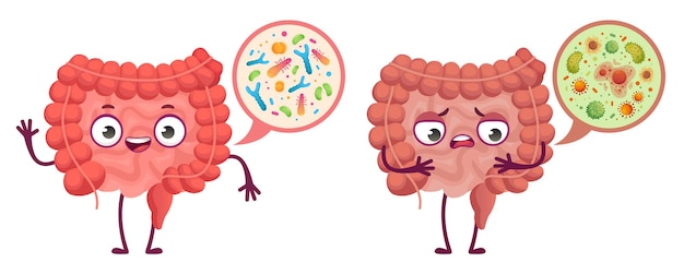 腸内細菌叢 消化器系のケア 腸内細菌 プロバイオティクスの漫画イラスト プレミアムベクター