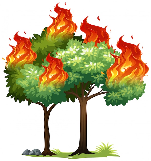 Premium Vector Isolared fire on tree