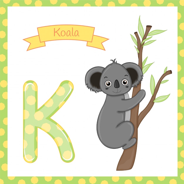 Premium Vector | Isolated animal alphabet k for koala on white