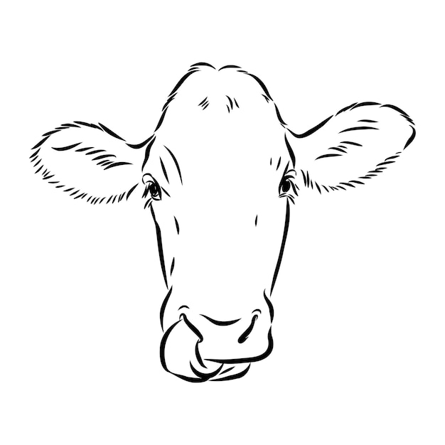 Premium Vector | Isolated cow eating grass on a white background black ...