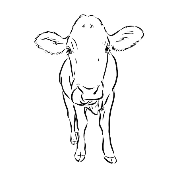 Premium Vector | Isolated cow eating grass on a white background black ...