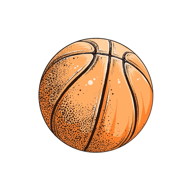 Premium Vector Isolated Drawing Of Basketball Ball In Color