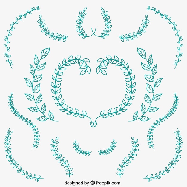 Download Isolated floral ornaments Vector | Free Download
