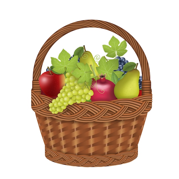 Premium Vector | Isolated fruit basket on white background