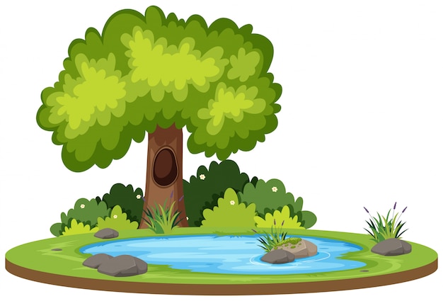 Premium Vector | Isolated natural water landscape