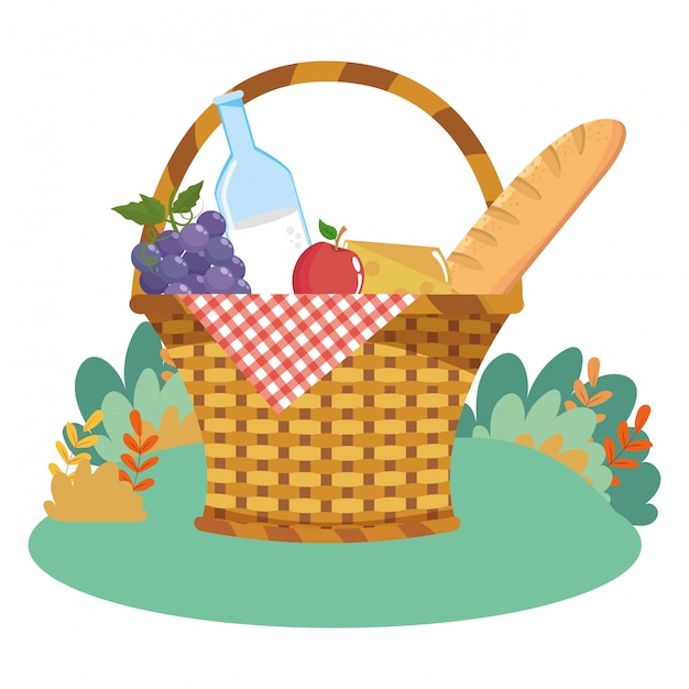 Premium Vector | Isolated picnic basket vector illustrator
