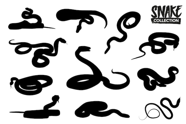 Premium Vector | Isolated snake silhouettes collection. graphic resources.